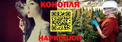 mdpv Можга