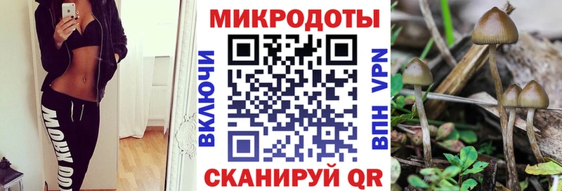 Псилоцибиновые грибы мухоморы  Усть-Джегута 