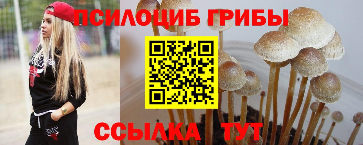 Экстази  Усть-Джегута  Меф МЯУ МЯУ кристаллы  ГАШ  МАРИХУАНА  Cocaine  Вход с VPN 